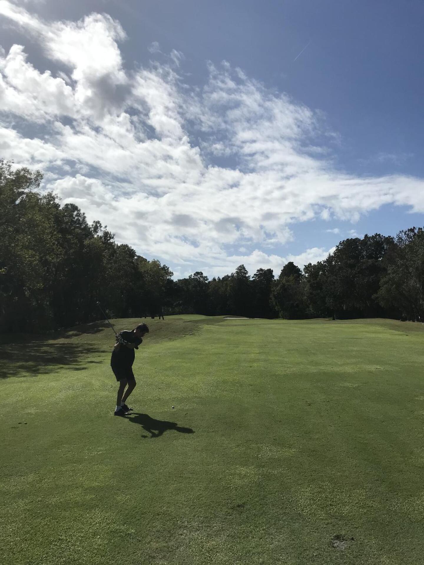 (Photo submitted by Dallas0101 on 11/05/2020)